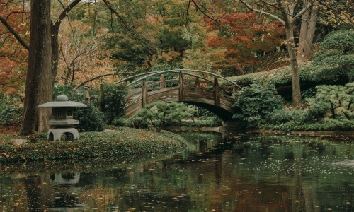 Find your perfect fit at 610 West a bridge over a pond at Japanese Garden