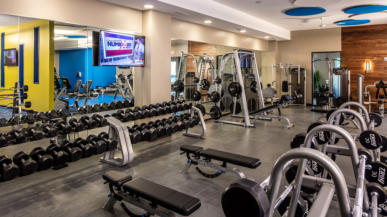 Fitness center gym with free weights and weight machines